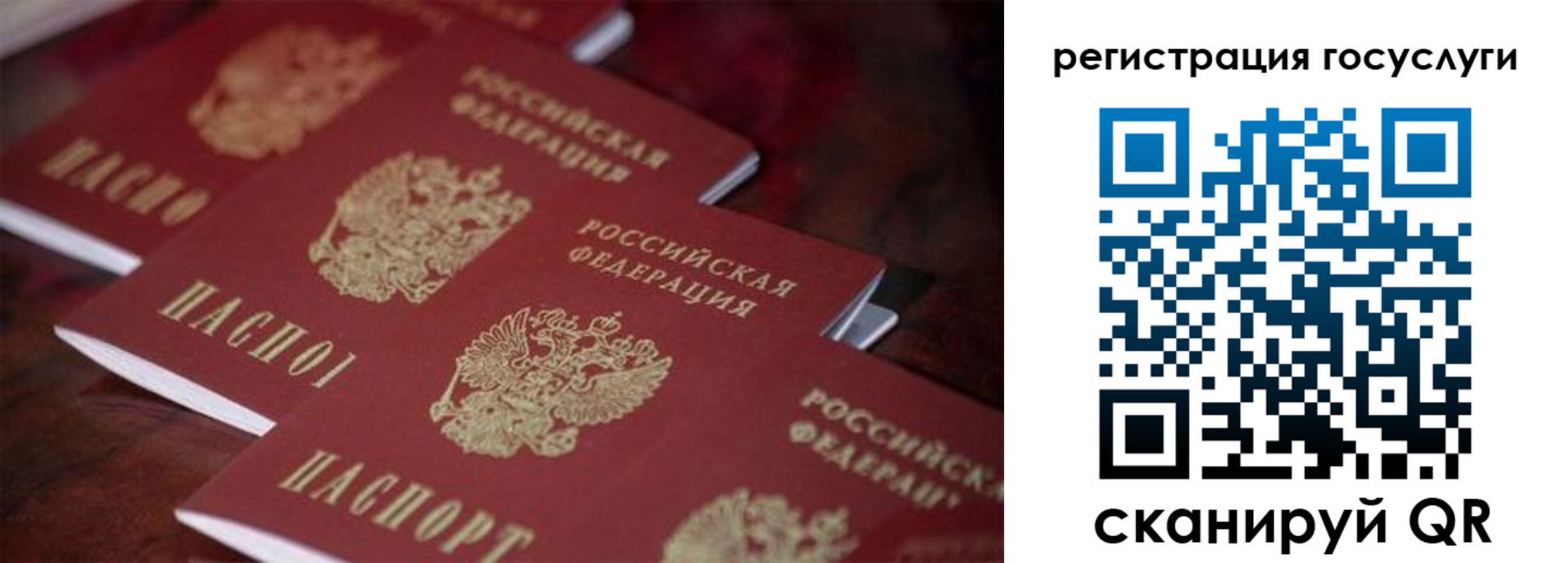 где прописаться в Курской области