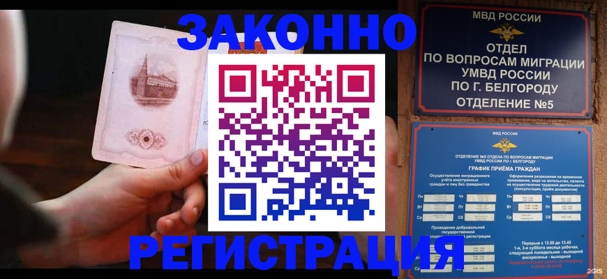 прописка 2025 в Курской области